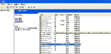 為什么Internet信息服務(wù)中沒有項(xiàng)目顯示？