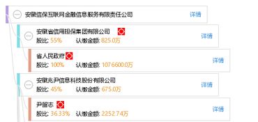 安徽信保互聯網金融信息服務有限責任公司 深耕互聯網信息服務，賦能區域金融創新